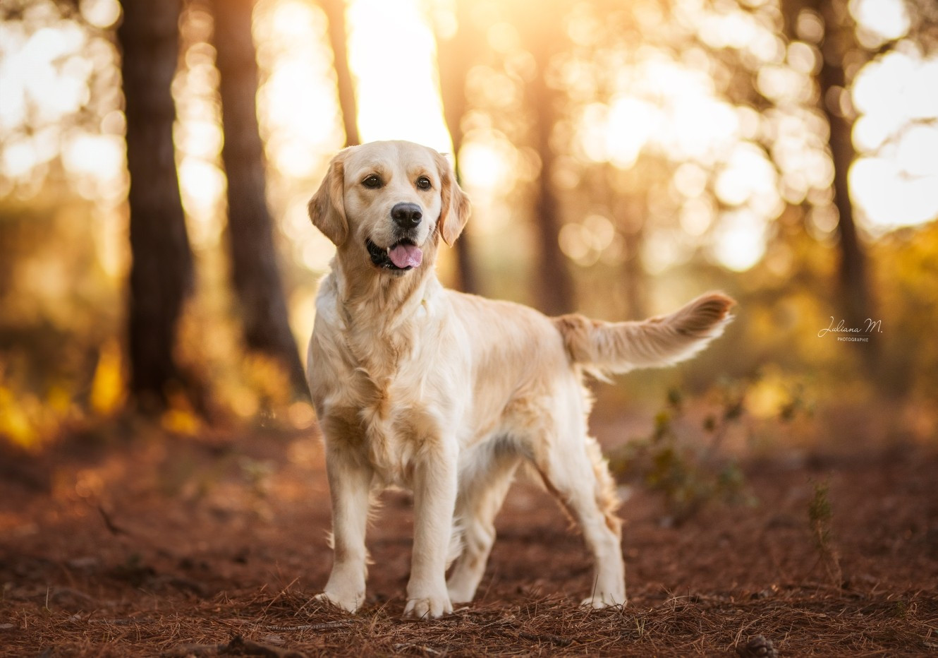 Umï, u and me together forever Angels of Tara